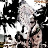 Artwork for "Morning Rave"