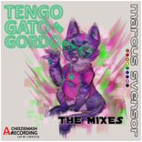 Portada para "Tengo un Gato Gordo (The Mixes)"