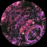 Artwork für "Bound"