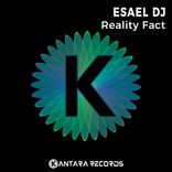 Artwork for "Reality Fact"