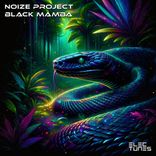 Artwork for "Black Mamba"