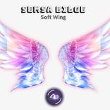Artwork für "Soft Wing"