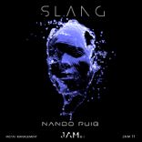 Portada para "Slang"