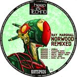 Artwork for "Norwood Remixed"