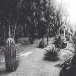 Told You (Original Mix)