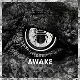 Artwork for "Awake"