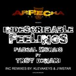 Portada para "Indescribable Feelings"