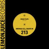 Portada para "Woah Flute"