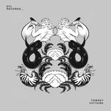 Artwork voor "Victoire"