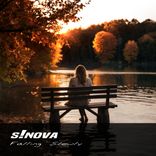 Artwork for "Falling Slowly"