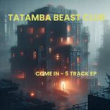 Artwork voor "Come In"