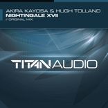 Artwork for "Nightingale XVII"