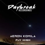 Artwork for "Fly High"