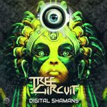 Artwork for "Digital Shamans"