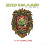 Artwork for "Why So Complicated"