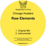 Portada para "Raw Elements"