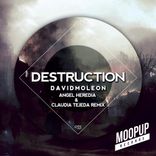 Artwork for "Destruction"