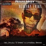 Artwork for "Ngwana Enwa (O Nale Mafura)"