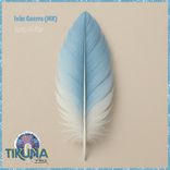 Artwork for "Junto Al Mar"