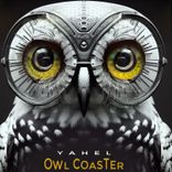 Owl Coaster