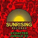 Artwork for "Jungle 23"