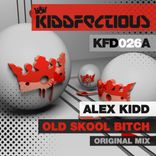 Artwork voor "Old Skool Bitch"