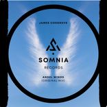 Artwork for "Angel Wings"