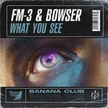 Artwork for "What You See"