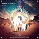 Wait Tonight