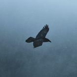 If I Could Turn Back Time