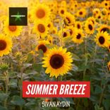 Portada para "Summer Breeze"