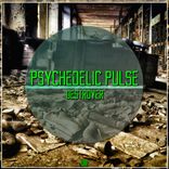 Artwork für "Destroyer"