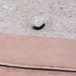 Artwork for "Places With or Without Roundabouts"