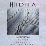 Artwork voor "Immortal"