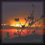 Artwork for "Rising"