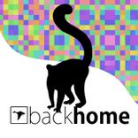 Artwork for "Revertible Insole"