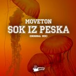 Artwork voor "Sok Iz Peska"