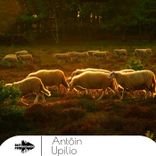 Artwork voor "Upilio"