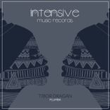 Artwork for "Plumba"