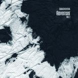 Artwork for "Reverser, Vol. 2"
