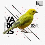 Artwork für "Bach Music"