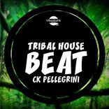 Artwork for "Tribal House Beat"
