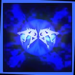 Portada para "RASTER"