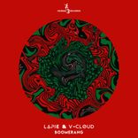 Artwork for "Boomerang"