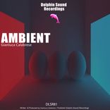 Portada para "Ambient"