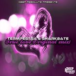 Artwork voor "True Love"