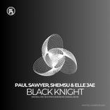 Artwork for "Black Knight"