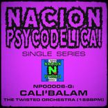 Artwork für "The Twisted Orchestra"