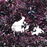 Artwork für "Kambrium"