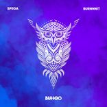 Artwork for "Burnnnit"